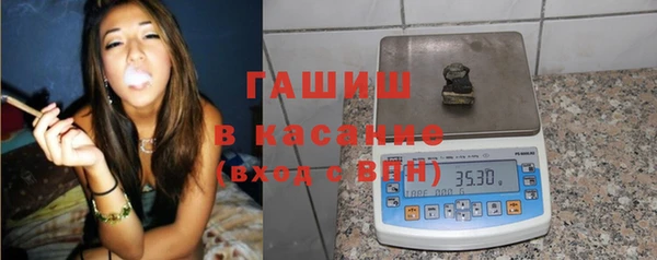 индика Вязьма