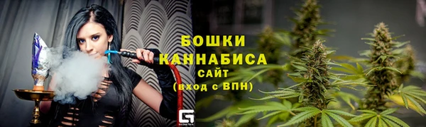 соль ск Горно-Алтайск