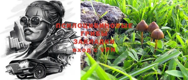 ГАЛЛЮЦИНОГЕННЫЕ ГРИБЫ Вяземский