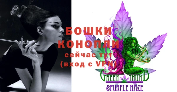 МДПВ Горняк