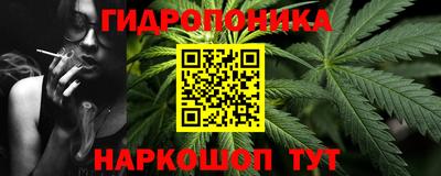 шишки Канаш
