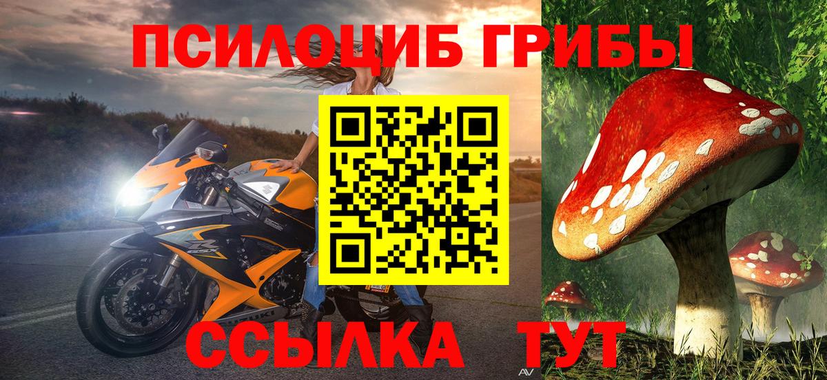 Галлюциногенные грибы мицелий  Псилоцибиновые грибы мицелий  Москва  где можно купить   Вход с VPN 