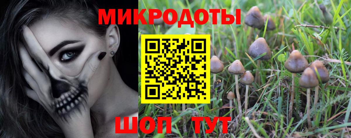 Галлюциногенные грибы MAGIC MUSHROOMS Москва
